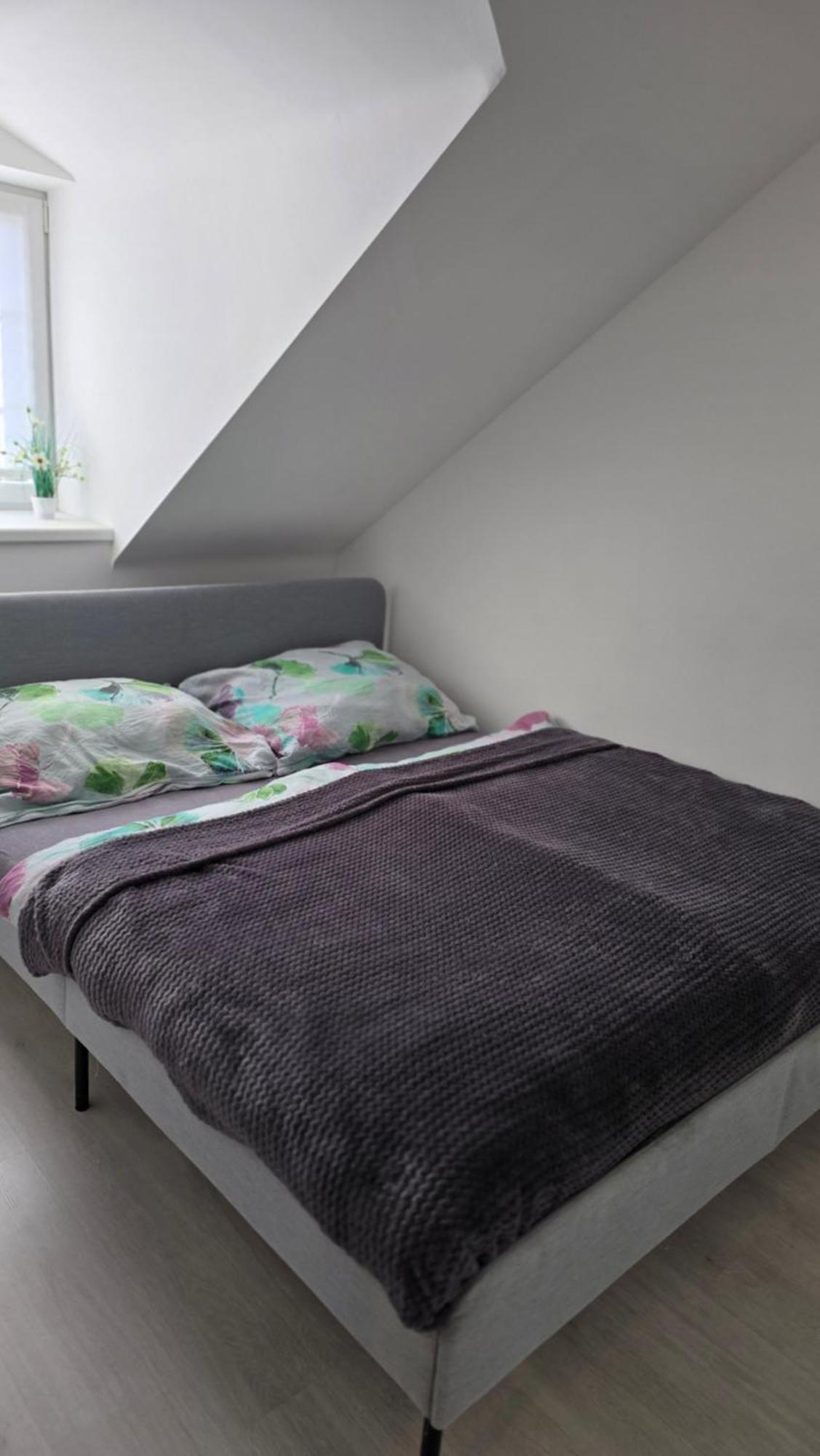 Apartman - Cafe Princ Pod Hradem Wifi, Klima Šternberk المظهر الخارجي الصورة